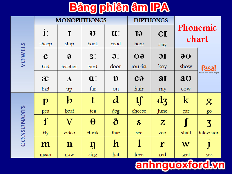 Bảng Phiên âm tiếng Anh cơ bản cho giao tiếp